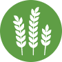 Organic Ingredients Oroweat